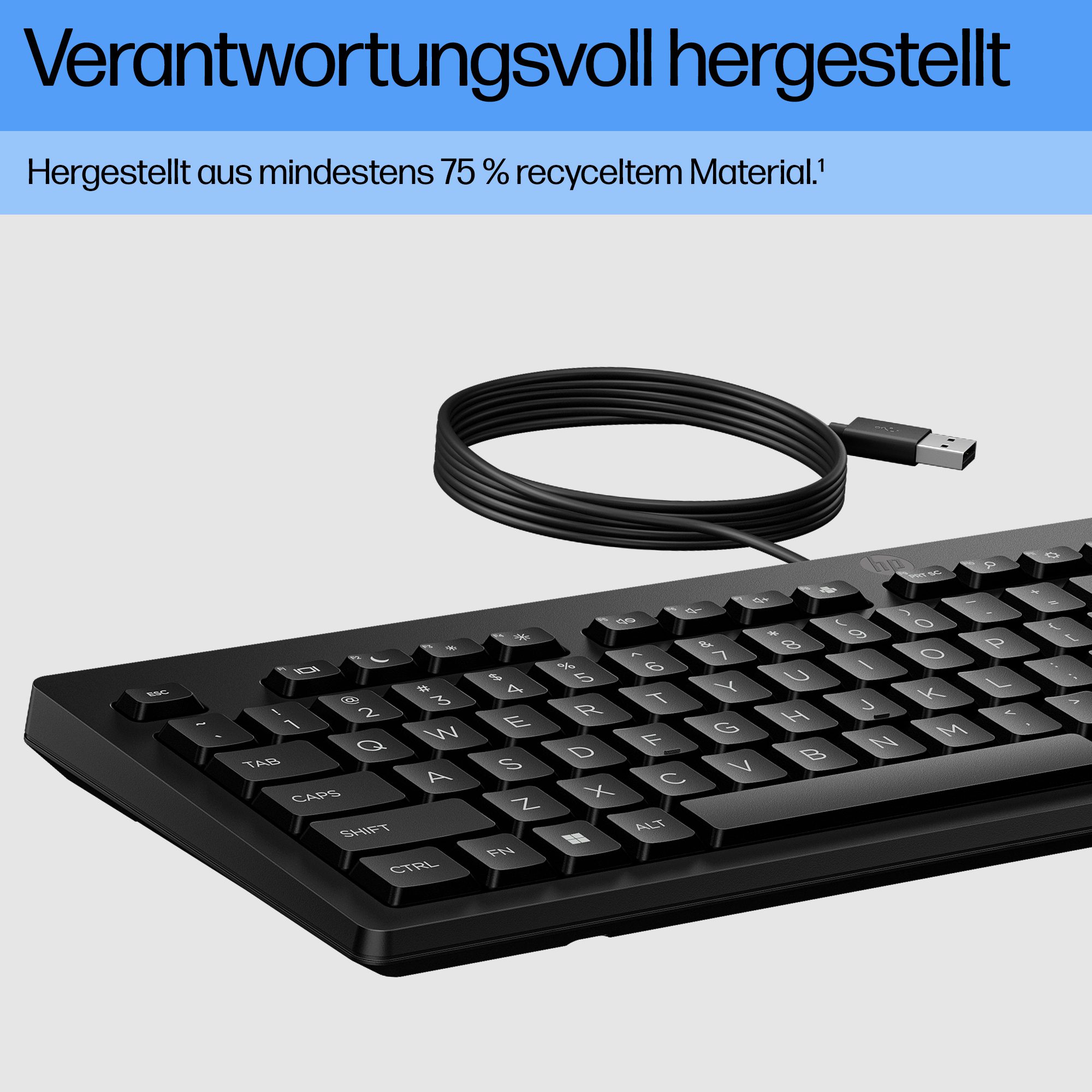 HP 125 Wired Keyboard - Compatible with Windows 10, Desktop PC, Laptop, Notebook USB Plug and Play Connectivity, Easy Cleaning 1YR WTY - Image 6