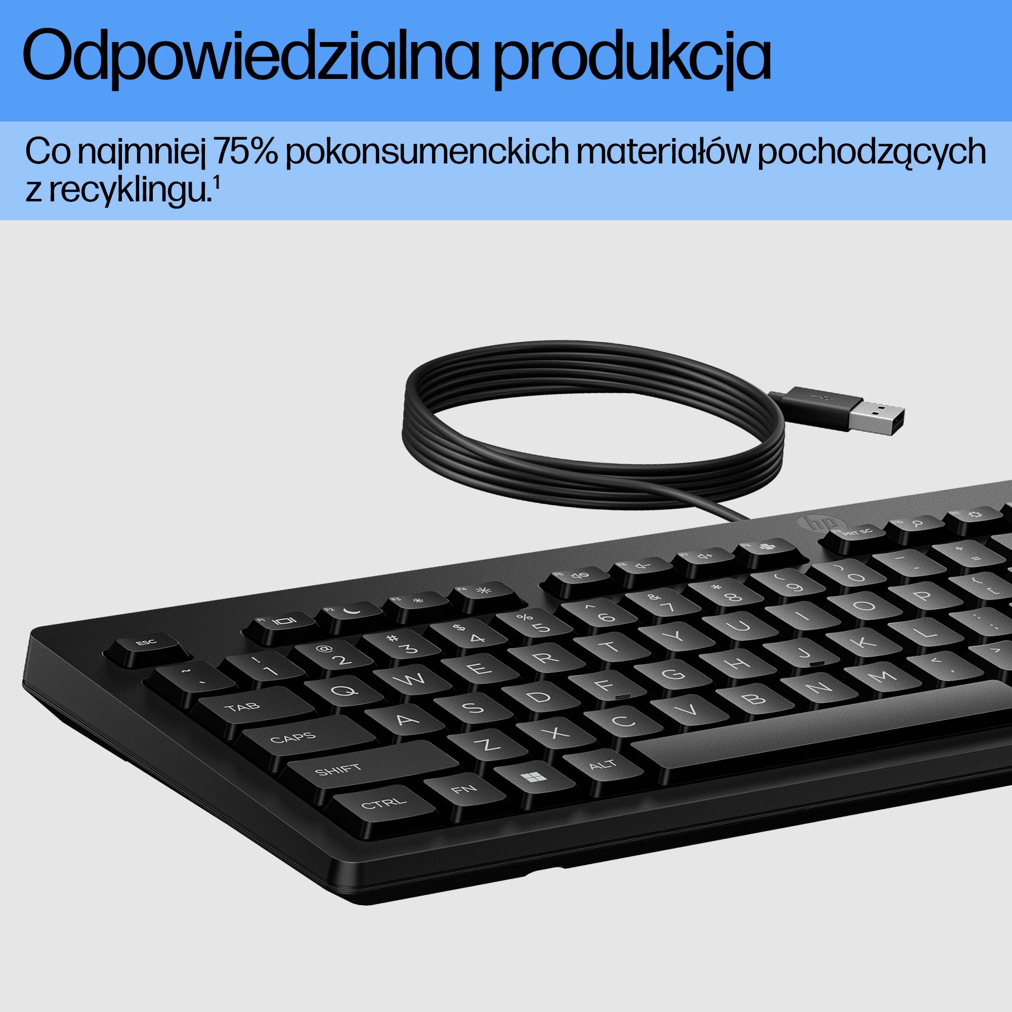HP 125 Wired Keyboard - Compatible with Windows 10, Desktop PC, Laptop, Notebook USB Plug and Play Connectivity, Easy Cleaning 1YR WTY - Image 12