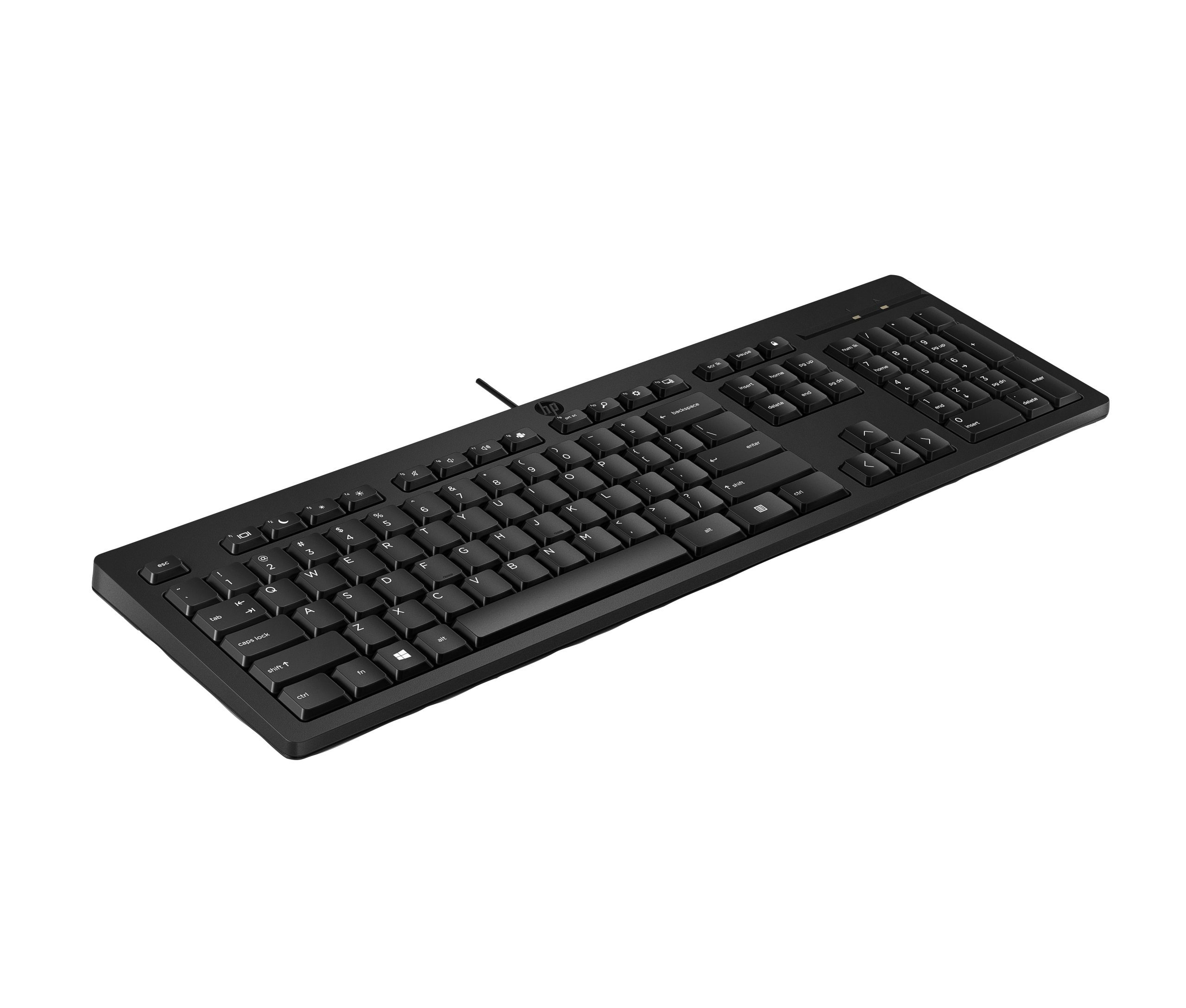 HP 125 Wired Keyboard - Compatible with Windows 10, Desktop PC, Laptop, Notebook USB Plug and Play Connectivity, Easy Cleaning 1YR WTY - Image 26