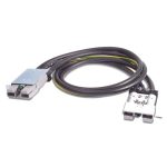 APC Symmetra RM 4ft Extender Cable for 2