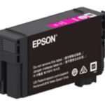 Epson UltraChrome XD2 Ink Cartridge C13T40S300