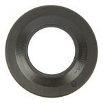 GN2100 Large Ear Plate
