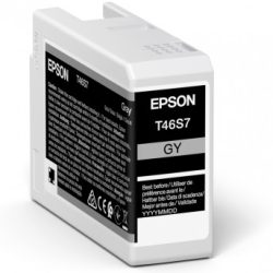 Epson UltraChrome Pro Ink Cartridge C13T46S700