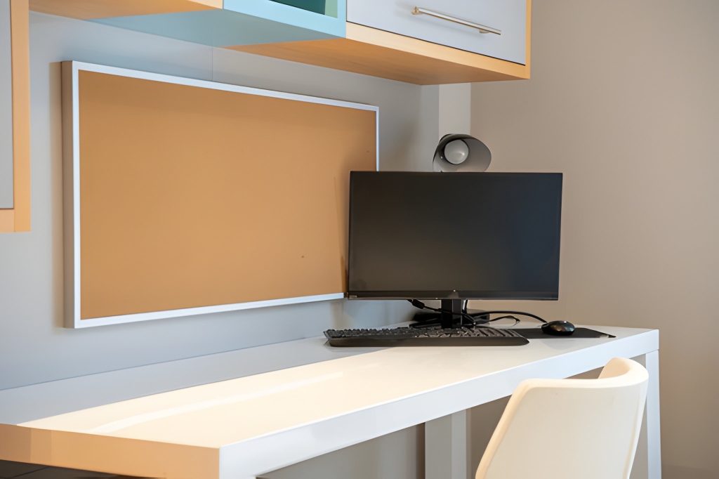 Acer monitors for work