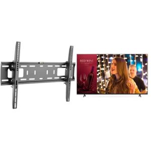 LG 65-inch Commercial TV Bundle