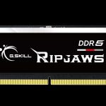 G.SKILL F5-5600S4040A32GX1-RS 32GB (1 x 32GB)/ DDR5 5600 MT/s / Timings 40-40-40-89/ Voltage 1.1V/XMP 3.0