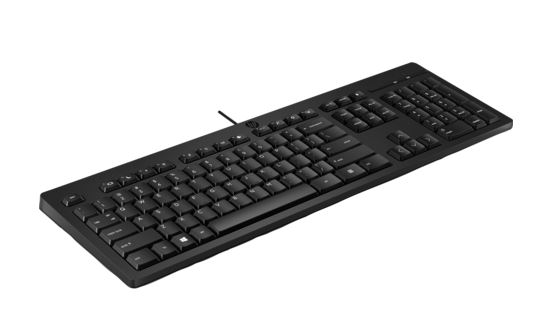 HP 125 Wired Keyboard - Compatible with Windows 10, Desktop PC, Laptop, Notebook USB Plug and Play Connectivity, Easy Cleaning 1YR WTY - Image 43