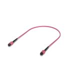 Ubiquiti Indoor OM4 Multi-mode Fiber Patch Cable, 0.5M, Single-pack, With MPO-12 Type B UPC Connectors, Designed For 100G Applications