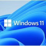 Microsoft Windows 11 Professional for Workstation 64 BIT - By Order