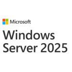 Microsoft Windows Server 2025 Cal English 1pk Dsp Oei 1 Clt Device Cal No Refund No Downgrade (EP2-25225)