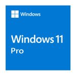 Microsoft Windows 11 Professional Oem 64-bit English 1 Pack Dvd. Key New (FQC-10528)