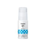 GI61C Cyan Ink Bottle