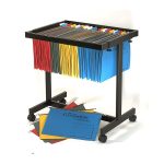 CF Trolly Suspension File