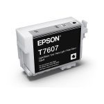 Epson 760 Light Black Ink Cartridge (C13T760700)