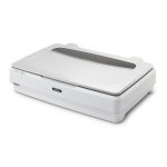 Epson Expression 13000xl Photo Scanners (B11B257501)