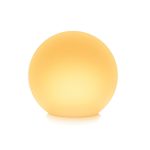 Eve Flare (10EBV8701)