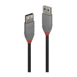 Lindy 0.2m USB 2.0 A to A Cbl