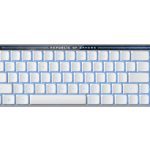 ASUS (ROG FALCHION RX LOW PROFILE BLUE SWITCH)