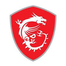 Official MSI product logo - Genuine MSI BLACK 23.8in/IPS/FHD/144HZ/USB-C HUB 4Y